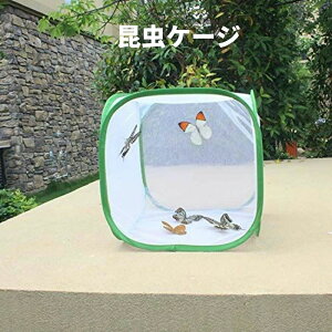 ʋC gѕ֗ J}L  ঒ n ܂肽