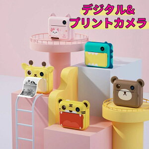 Camera vg LbY fW^ J qp 16GSDJ[ht  M B B USB[d