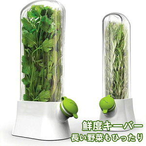 [P[X 3`5L[v Nxێ NxL[v Nx Lb`pi ؃XgbJ[ NxL[o[ ؕۑe