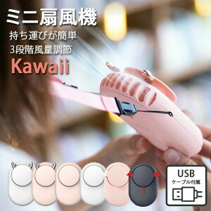 USB RpNg y ^ É t@ HȂ nfBt@ ~j@  |~j@ nfB 񂩂