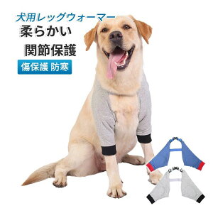 ی ֐ߕی \h یJo[ ₷ ی GT|[^[ ֐߃veN^[ _炩 pbOEH[}[