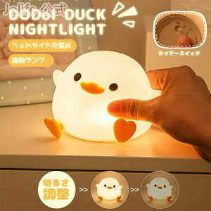 iCgCg USB [d 9.5-34ԘA dF ӂӂ u^  [Cg