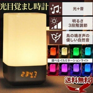 2022NV {戵   ڊo܂v oYj 铔 Ǐ  v v NbN [d y