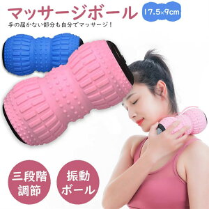 X|[cpi X|[c lC  ^s  c{ݑΖ  ӂ͂   w g[jO [X