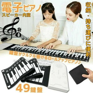 sAm}bg S y dqߋ  Xs[J[ ^ sAm 49 [AbvsAm dqsAm