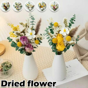  sv ԍ  hV̓ vU[uht[  ̓   ԕr+ԃZbg ԕr