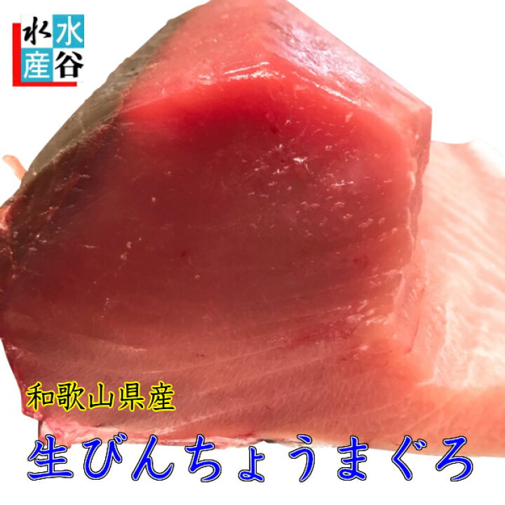 楽天市場 4月月間優良ショップ受賞 送料無料 紀伊勝浦産 生びんちょうまぐろ マグロ とんぼしび びん長 お刺身 生マグロ 和歌山県産 産地直送 水谷水産