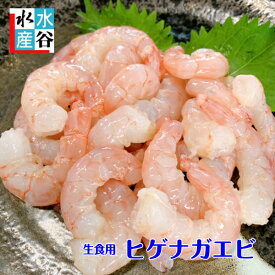 超レア！　生食用エビ　ヒゲナガエビ　尾鷲産　ガスエビ　お刺身　かき揚げ　産地直送　天然