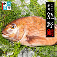 真鯛(約1キロ）活〆 熊野鯛【養殖】送料無料　お祝い事 お食い初めにもどうぞ♪ お刺身 タイ　鯛　 鯛し…