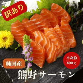 【訳あり】【お値打ち品】 国産　トラウトサーモン　【熊野サーモン】お刺身用　皮付き　マリネ　ムニエル　カルパッチョ