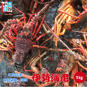 エビの人気商品 通販 価格比較 価格 Com