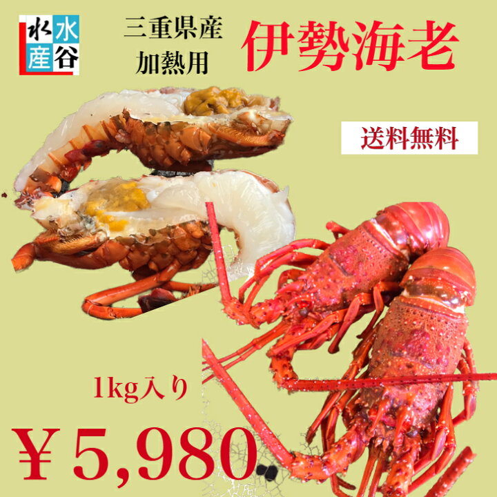 楽天市場 三重県産 加熱用冷凍伊勢海老 1kg入り サイズいろいろ お味噌汁 焼き物 バーベキュー 送料無料 水谷水産 楽天市場 三重県産 加熱用冷凍伊勢海老 1kg入り サイズいろいろ お味噌汁 焼き物 バーベキュー 送料無料 水谷水産