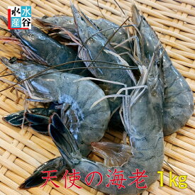 天使の海老　1キロ　30〜40尾入り　エビ　海老　えび　刺身用　生食用