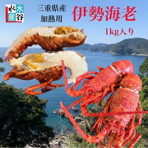 OdY@MpⓀɐCV@1kg@TCY낢@X`@Ă@o[xL[@
