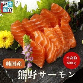国産　トラウトサーモン　【熊野サーモン】お刺身用　皮付き　マリネ　ムニエル　カルパッチョ
