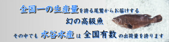 楽天市場】【10/10 20%OFFクーポン配布中】お客様評価4.8以上!!送料無料 幻の高級魚 尾鷲 マハタ(1.3〜1.5kg) 三重県産  生産量日本一 お鍋 コラーゲンたっぷり お刺身 お寿司 活〆 クエ 鍋 : 水谷水産