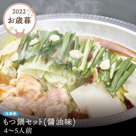 肉 もつ鍋 セット ギフト 4〜5人前 もつ 600g ちゃんぽん麺 薬味付き 冷凍便 牛肉 プレゼント 御祝 お歳暮 贈答 誕生日 お祝い 内祝い mots02