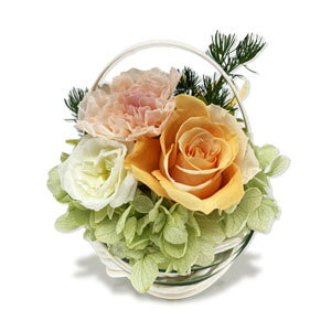 X vU[uht[ Mtg t[Mtg j @a@j oYj a LO  ̓@e  җj bZ[WΉ NAP[X蒷