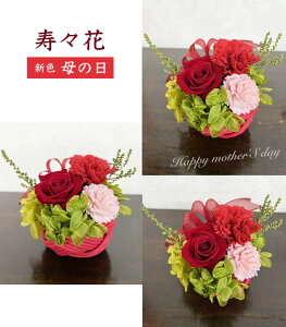 X vU[uht[ Mtg t[Mtg j @a@j oYj a LO  ̓@e  җj bZ[WΉ NAP[X蒷