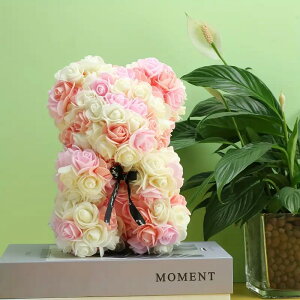 SNSŘb KNς̂ [YxA o ΂  efB JXj Mtg