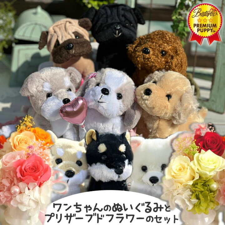 楽天市場 敬老の日 プレゼント プリザーブドフラワー ぬいぐるみ 犬 敬老の日 ギフト 花 プレゼント 誕生日 女性 母 ギフト ミニアレンジ 結婚祝い 出産祝い 退職祝い トイプードル パグ シュナウザー シーズー チワワ ペット メモリアル おばあちゃん メッセージ対応