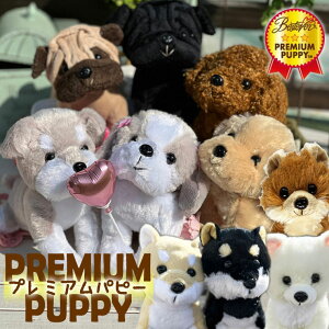 yMtg^Cvz ʂ Pi 17cm @ʁ@a v[g   qǂ ̎q j̎q gCv[h ~j`A_bNX }Vo V[Y[ ` q j ѕ݂ꂼ