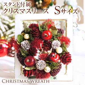 [X NX}X STCY CeA  G ~j[XSTCY ~ v[g VRf i` NX}X t X^ht fBXvC i`[X bh ؂̎