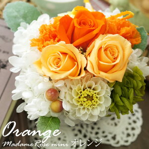 マダムローズミニ プリザーブドフラワー ギフト 誕生日 プレゼント 女性 結婚記念日 結婚祝い 電報 お祝い 枯れない花 退職祝い クリアケース入り おしゃれ フラワーアレンジメント メッセ