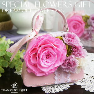 ̓ vU[uht[ J[l[V v[g  a t[AW [Y o sN obO c  NAP[X h[obO bZ[WΉ