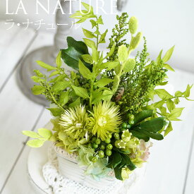 ラ・ナチュール プリザーブドフラワー 観葉植物 インテリアグリーン 母の日 寄せ植え 枯れない 雑貨 おしゃれ 飾り 緑 室内 引越し祝い 新築祝い プレゼント ケース入り 盆栽 新生活 新築祝い 誕生日 贈り物 男性 女性 さわやか カゴ ハーブガーデン プリザーブドグリーン