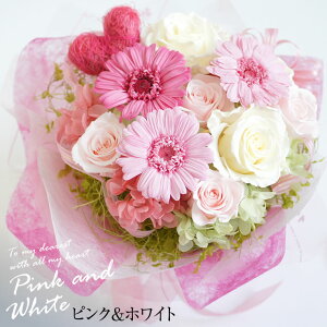 Ăďԑ vU[uht[ ԑ v[g j ̓ Mtg d  a  u[P J[l[V t[AW ޏ LO e 킢 蕨 