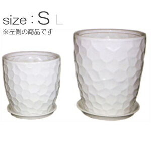 鉢 白 陶器鉢の人気商品 通販 価格比較 価格 Com 鉢 白 陶器鉢の人気商品 通販 価格比較 価格 Com