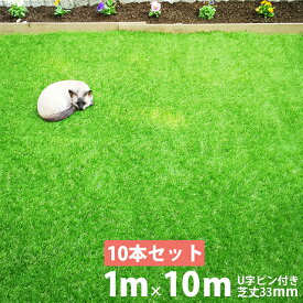 ＼10本セット／人工芝 【U字ピン160本付き】 リアルMJターフ [1m×10m 芝丈33mm] ロール リアル人工芝