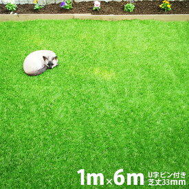 人工芝 【U字ピン10本付き】 リアルMJターフ [1m×6m 芝丈33mm] ロール リアル人工芝