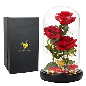 KXh[  o [Y Valentine's Day Gifts for Her, Womans Gifts for Valentines Decorations Beauty and The Beast Rose Flowers, Artificial Flower Rose Gift Romantic Red Silk Rose, Valentine Flower in Glas ysAiz