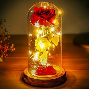 KXh[  o [Y Norcalway Romantic Valentines Gift for Her - Beauty and The Beast Rose in Glass Dome - Valentines Wedding Decorations - Beauty and The Beast Gift ysAiz
