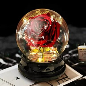KXh[  o [Y Beauty and The Beast Rose Gift for Women Flower Gifts,Artificial Flower Rose Light Up Rose in A Glass Dome,Women Gifts for Her,Valentines,Anniversary ysAiz