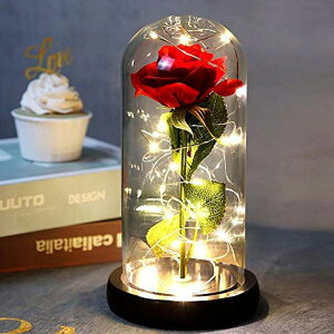 �K���X�h�[�� �� �o�� ���[�Y Beauty and The Beast Rose in Glass, Red Artificial Flower Rose Gift, Lasts Forever in A Glass Dome,Unique Gifts for Women, Christmas, Wedding,Valentine's Day, Anniversary and Birthda �y���s�A���i�z