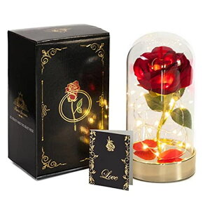 ガラスドーム 花 バラ ローズ HOMESEASONS Glass Dome Red Rose Gift for Women Birthday Gift - Pre-Lit Red Velvet Rose in Glass DomeDome 【並行輸入品】