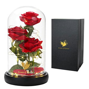 KXh[  o [Y Valentines Women Gifts, Valentine's Day Rose Gift for Her, Beauty and The Beast Rose Flowers, Anniversary Rose Gift Artificial Flower Light up Rose, Rose in Glass Dome, Enchanted Flo ysAiz