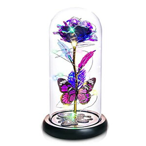 KXh[  o [Y DEEMEI Valentines Day Gifts for Her Galaxy Purple Butterfly Rose in Glass Dome Mothers Day Rose Gifts Crystal Diamond Base Birthday Gifts for Women Christmas Anniversary ysAiz