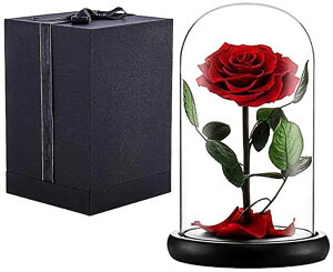 プリザーブドフラワー ガラスドーム 花 バラ ローズ Norcalway Eternal Enchanted Forever Preserved Rose - Infinity Rose in Glass Dome - Made from Real Fresh Beauty Rose - Romantic Gifts for Female - Valentines Day - Gift for Mom 【並行