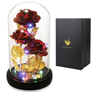 KXh[  o [Y Valentine's Day Rose Gift for Her, Birthday for Women Beauty and The Beast Rose 24K Red Rose in Glass Dome, Light Up Rose, Forever Artificial Flowers, Funny Gift for Mom Girlfriend W ysAiz