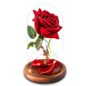 KXh[  o [Y AGGUT Valentines Day Gifts for Her,Beauty and The Beast Rose,Valentine's Day Roses Gifts for Mom Girlfriend Wife,Red Rose in Glass Dome for Anniversary Birthday Christmas ysAiz