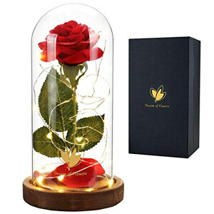 ガラスドーム 花 バラ ローズ Valentines Rose Gift for Her - Gifts for Women Beauty and The Beast Red Rose Flower in Glass Dome with Valentine's Day Lights, Artificial Roses Gift for Mom Mothers Day Anniversary D 【並行輸入品】