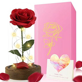 ガラスドーム 花 バラ ローズ 2023 Beauty and The Beast Rose - Enchanted Red Silk Rose in Glass Dome with LED Light - Romantic Rose Kit - for Best Gifts Valentine's Day & Girlfriend & Wedding Anniversary & Birthd 【並行輸入品】