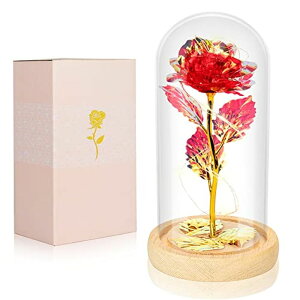 KXh[  o [Y Valentines Day Gifts for Her Galaxy Rose Glass Crystal Flower Gift in Glass Dome with Light Valentine Roses Ideas Birthday Gifts for Women Mom Daughters Wife Sister Girlfriend red ysAiz