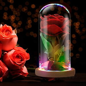 KXh[  o [Y Rose in A Glass Dome Beauty and The Beast Rose Enchanted Red Silk Rose LED Light Romantic Gift Movie Theme Party Mother's Day Valentine's Day Wedding Decoration ysAiz