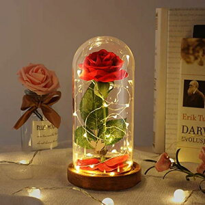 KXh[  o [Y Valentine's Day Gifts, Beauty and The Beast Rose, Dome Glass and Red Silk Rose, LED Light, Unique Gift Decoration, Gifts for Women, Suitable for Decoration in Bedroom, Dining Table a ysAiz