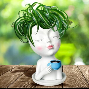킢 j[N ʔ  v^[ Aؔ  Toparad Face Flower Pots Head Planter, Cute Face Vase Flower Pots Succulents Plants Live, Unique Gifts Planters Plant Pot with Drainage Hole and Tray for Home Garden Cactus (White) 